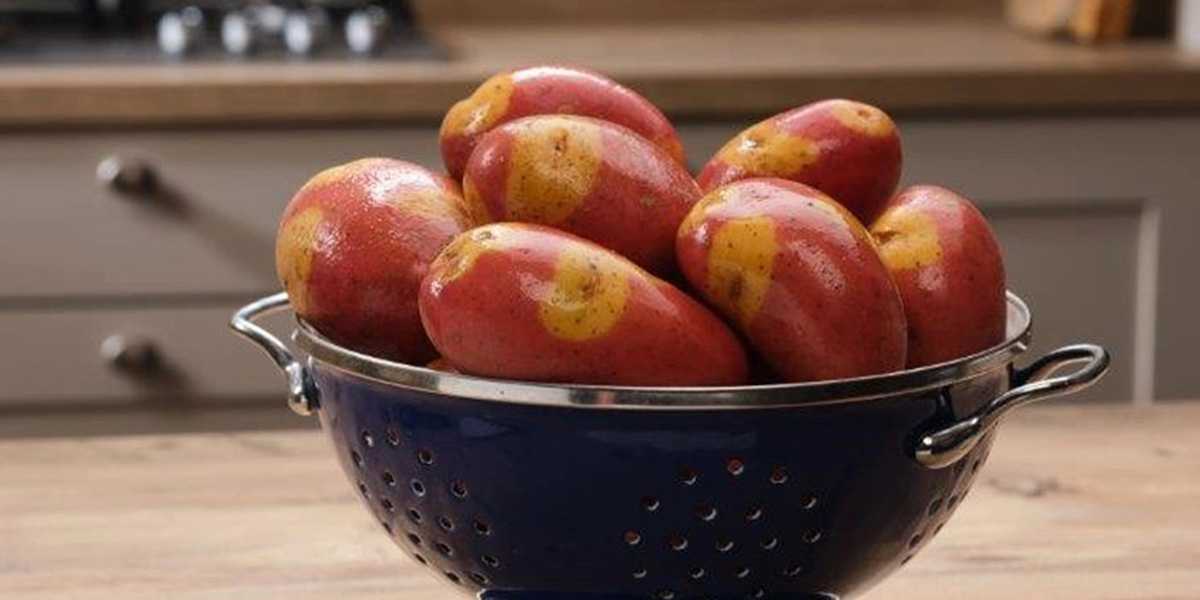 Uk, le patate Nemo vanno a ruba per le feste